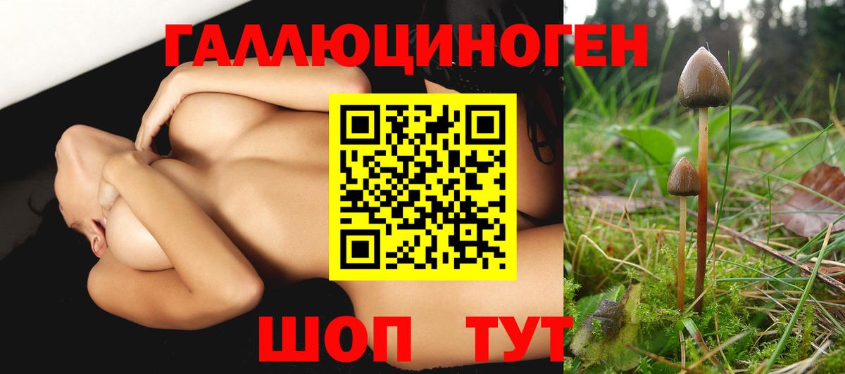 Галлюциногенные грибы Cubensis Ефремов