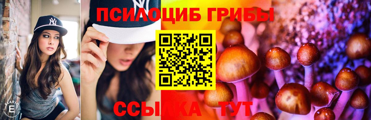 Ефремов  купить наркотики сайты  Вход с VPN  Галлюциногенные грибы GOLDEN TEACHER  Псилоцибиновые грибы прущие грибы 
